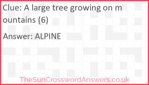 A large tree growing on mountains (6) Answer