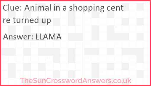 Animal in a shopping centre turned up Answer