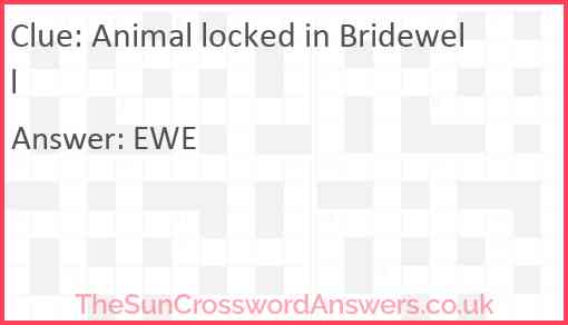 Animal locked in Bridewell Answer