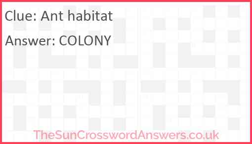 Ant habitat crossword clue TheSunCrosswordAnswers co uk Ant habitat crossword clue TheSunCrosswordAnswers co uk