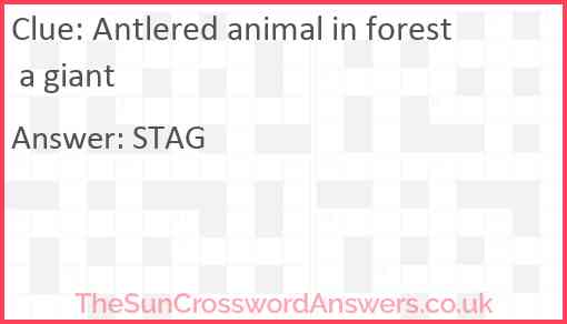 Antlered animal in forest a giant Answer