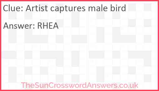 Artist captures male bird Answer