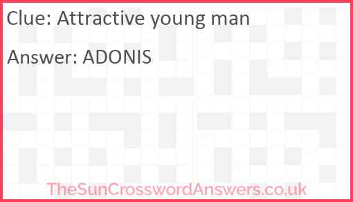 Attractive young man Answer