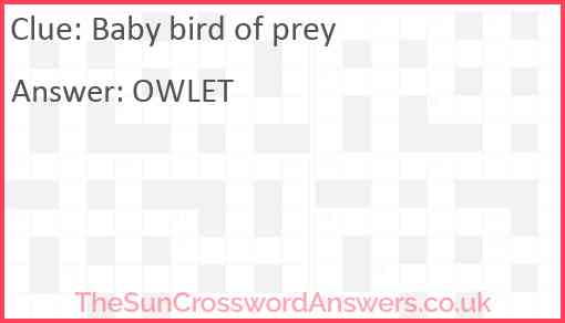Baby bird of prey Answer