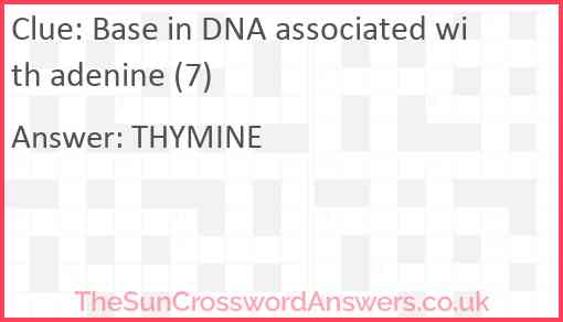 Base in DNA associated with adenine (7) Answer