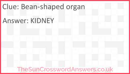 Bean-shaped organ Answer