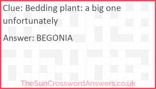 Bedding plant: a big one unfortunately Answer
