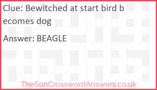 Bewitched at start bird becomes dog Answer