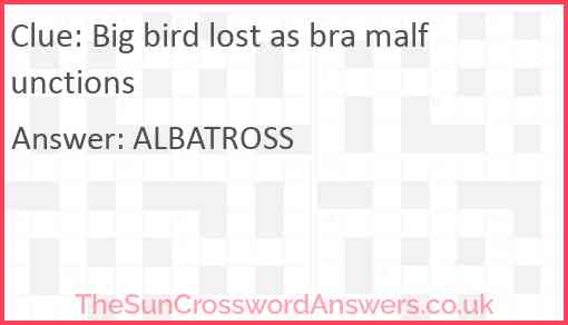 Big bird lost as bra malfunctions Answer