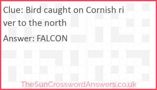 Bird caught on Cornish river to the north Answer