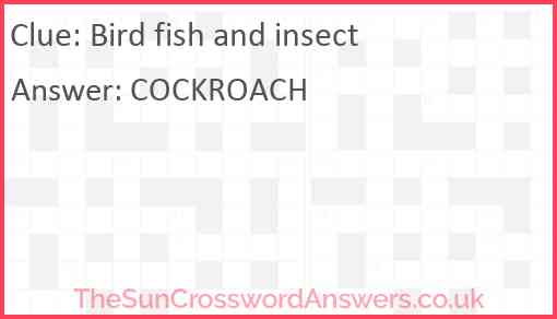 Bird fish and insect Answer