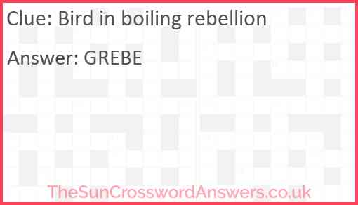Bird in boiling rebellion Answer
