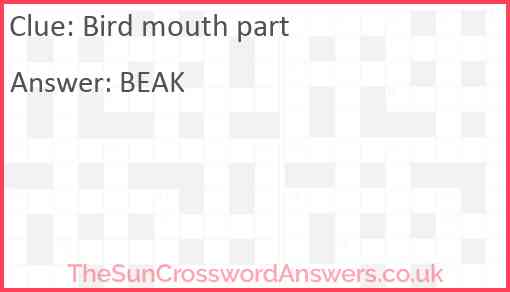 Bird mouth part Answer