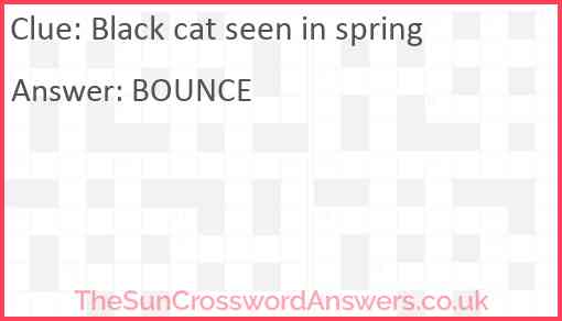Black cat seen in Spring Answer