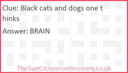 Black cats and dogs one thinks Answer