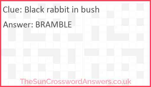 Black rabbit in bush Answer