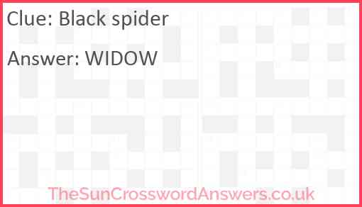Black spider Answer