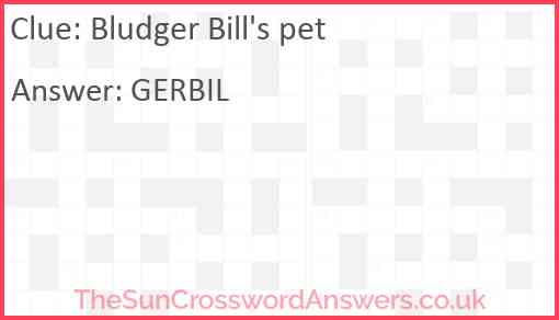 Bludger Bill's pet Answer
