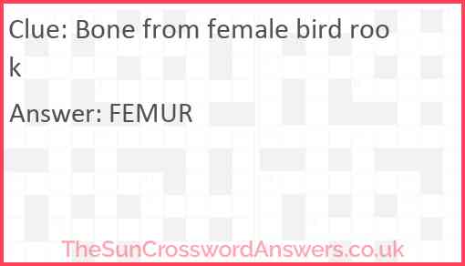 Bone from female bird rook Answer