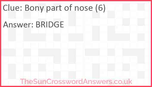 Bony part of nose (6) Answer