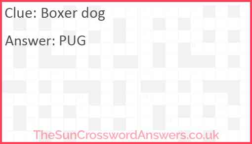Boxer dog Answer