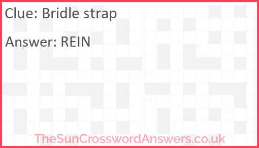 Bridle strap Answer
