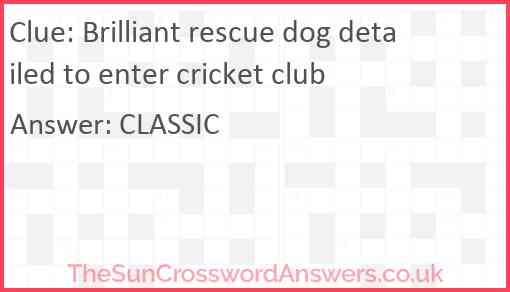 Brilliant rescue dog detailed to enter cricket club Answer