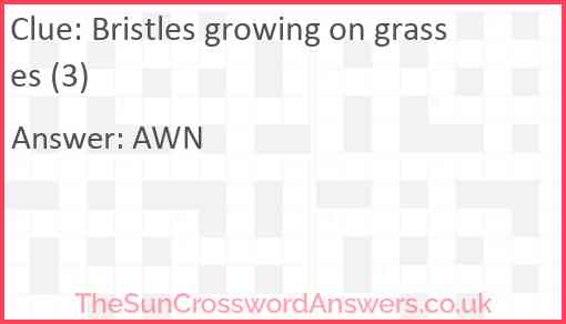 Bristles growing on grasses (3) Answer