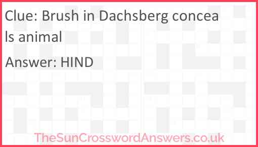 Brush in Dachsberg conceals animal Answer