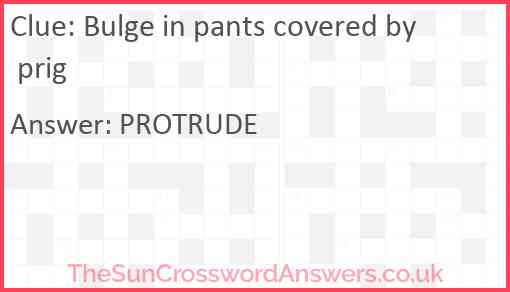 Bulge in pants covered by prig Answer