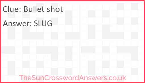 Bullet shot Answer