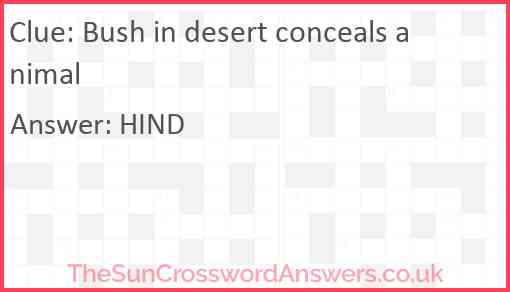 Bush in desert conceals animal Answer