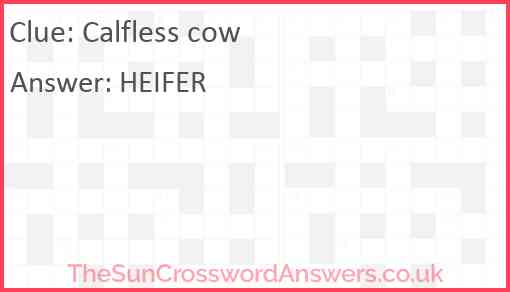 Calfless cow Answer