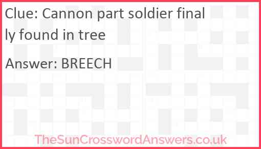 Cannon part soldier finally found in tree Answer