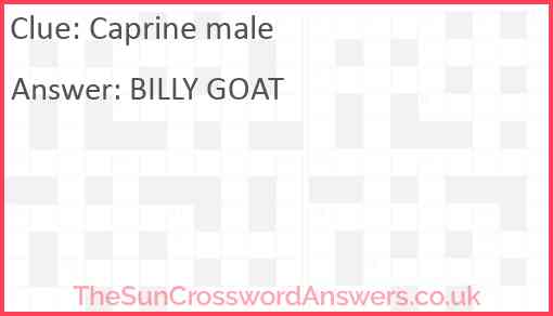 Caprine male crossword clue TheSunCrosswordAnswers co uk
