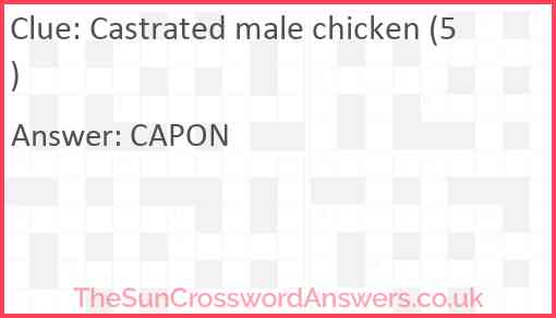 Castrated male chicken (5) Answer