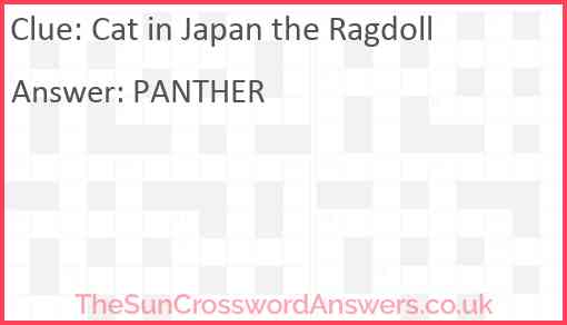 Cat in Japan the Ragdoll Answer
