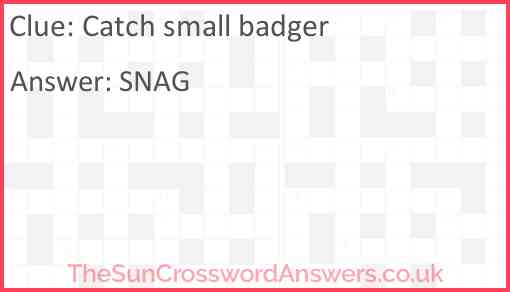 Catch small badger Answer