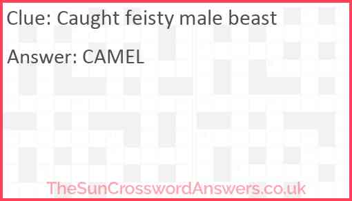 Caught feisty male beast Answer