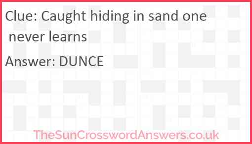 Caught hiding in sand one never learns Answer