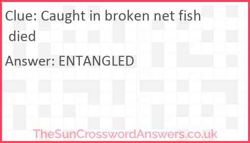 Caught in broken net fish died Answer