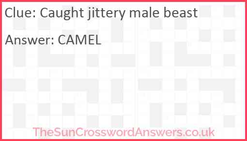 Caught jittery male beast Answer