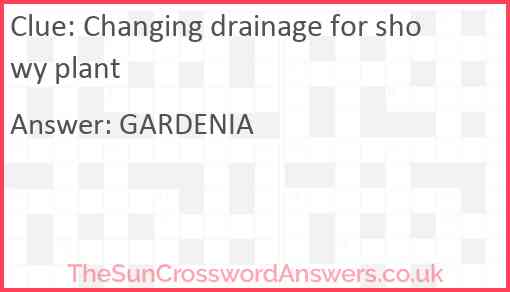 Changing drainage for showy plant Answer