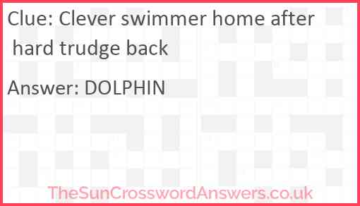 Clever swimmer home after hard trudge back Answer