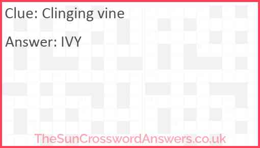 Clinging vine Answer