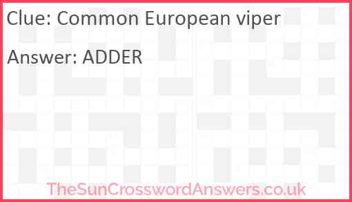 Common European viper Answer