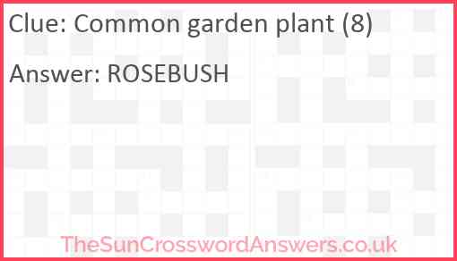 Common garden plant (8) Answer