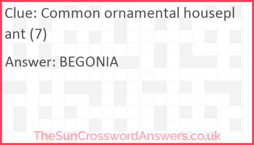 Common ornamental houseplant (7) Answer