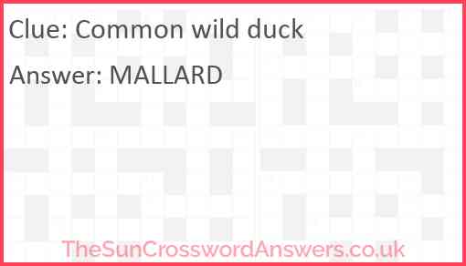 Common wild duck Answer