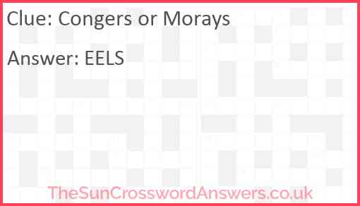 Congers or Morays Answer